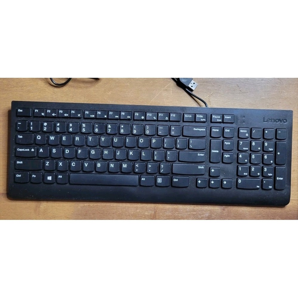 Lenovo 300 USB Keyboard (model SK-8823) black full size numeric computer PC